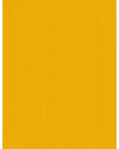 Carton de Bricolage A4 - Jaune foncé - 300 g/m² : FOLIA Lot de 50 Visuel