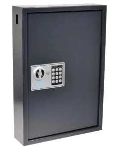 Photo Armoire à clés entre-ouvert - Serrure électronique - 50 clés : PAVO 8033911