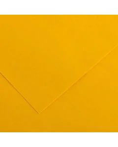 Feuilles de couleur 500 x 650 mm - Gris Clair - CANSON Vivaldi