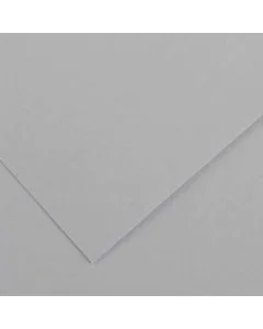 Feuilles de couleur 500 x 650 mm - Gris Clair - CANSON Vivaldi