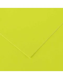 Feuilles de couleur 500 x 650 mm - Noir - CANSON Vivaldi