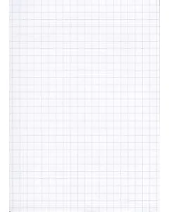 Lot de 100 Fiches Bristol A6 - 105 x 148 mm - Blanc quadrillé ELVE B10513 Papeterie blanc
