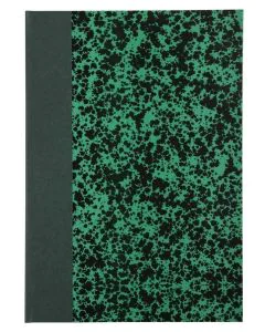 LE DAUPHIN 392501D Registre 192 pages lignées 297 x 210 mm