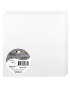 Photo Cartes double en papier - 135 x 135 mm - Blanc Irisé CLAIREFONTAINE Pollen Lot de 25
