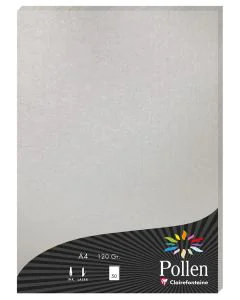Photo Feuille de couleur Argent 210 x 297 mm A4 POLLEN 4199C