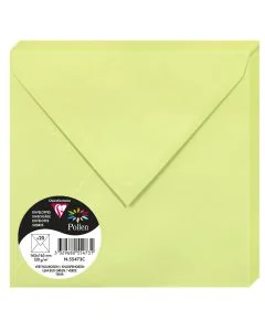 Photo POLLEN : Lot de 20 Enveloppes - 165 x 165 mm - Vert bourgeon