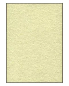 SIGEL DP605 : Lot de 100 feuilles Perga - Format A4 - Champagne