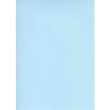 ELVE B105B : Lot de 100 fiches bristol A6 - 105 x 148 mm - Bleu uni 