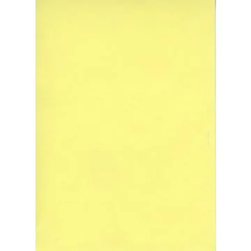 ELVE B105J : Lot de 100 fiches bristol A6 - 105 x 148 mm - Jaune uni