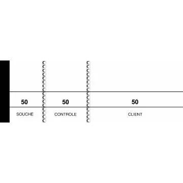 PASSE - PARTOUT Carnet de 1000  tickets - Blanc Elve 21