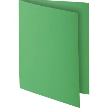 Lot de 100 Chemises pour dossiers A4 ROCK'S - Vert sapin : EXACOMPTA