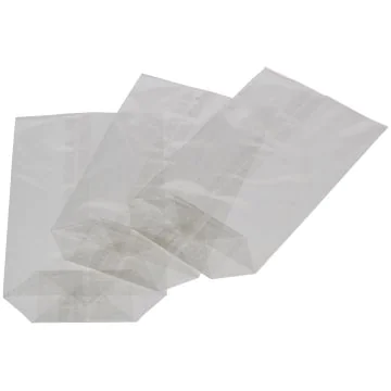 Sachet en cellophane transparent - 145 x 235 mm : FOLIA Lot de 10 Visuel