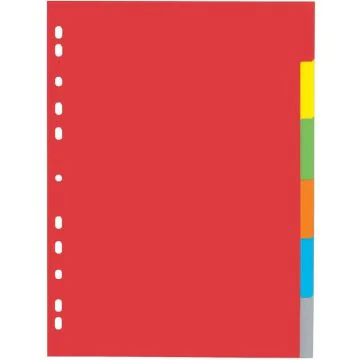 Jeu de 6 Intercalaires neutres - 225 x 300 mm - Assortiment de couleurs : PAGNA Visuel