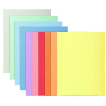 330000E EXACOMPTA chemises pour dossiers A4  SUPER 210 - Assortiment