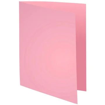 Lot de 100 Chemises pour dossiers A4 - Rose : EXACOMPTA SUPER 210 Image
