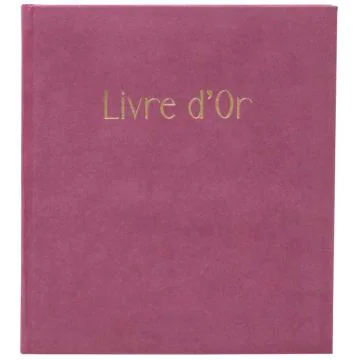 Livre d'or - 270 x 220 mm - 100 pages - Gris : EXACOMPTA Ellipse image