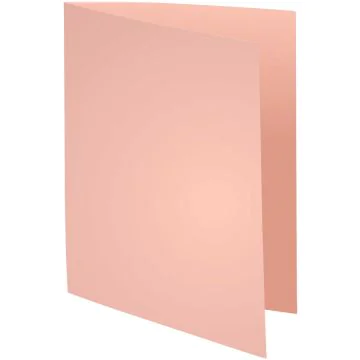 Lot de 100 Chemises pour dossiers - Rose : EXACOMPTA Forever 170 Visuel