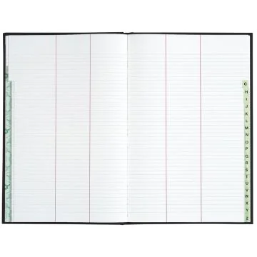 LE DAUPHIN : Répertoire - Registre de 400 pages lignées - 340 x 225 mm (427420D)