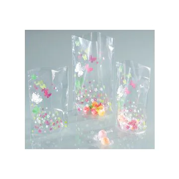 Sachet transparent - Imprimé Printemps - 145 x 235 mm FOLIA