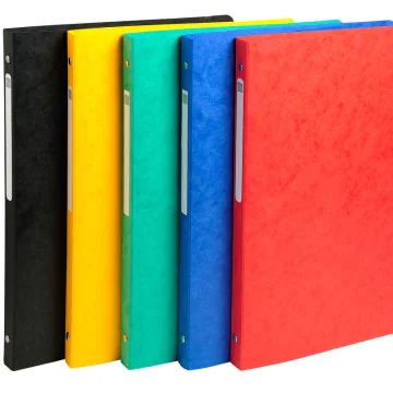 51250E Classeur Exacompta 4 Anneaux Assortiment Carte lustrée