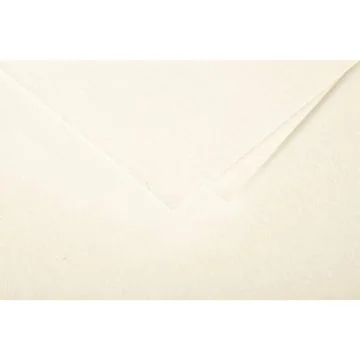 POLLEN : Lot de 20 Enveloppes - 90 x 140 mm - Ivoire Visuel