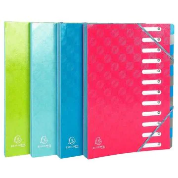 Trieur avec élastiques - 12 compartiments - Assortiment EXACOMPTA 1928