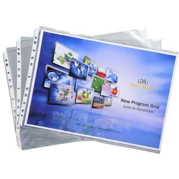 Exactive Pochettes perforées - A3 297 x 420 mm EXACOMPTA Portfolio Lot de 10