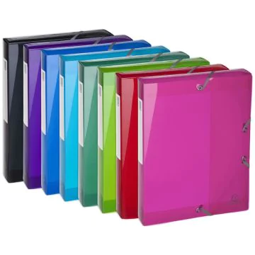 Boîte de classement en PP Iderama - Dos 40 mm - Assortiment : EXACOMPTA Visuel