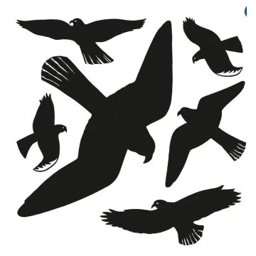 HERMA : Oiseaux pour vitres - Noir