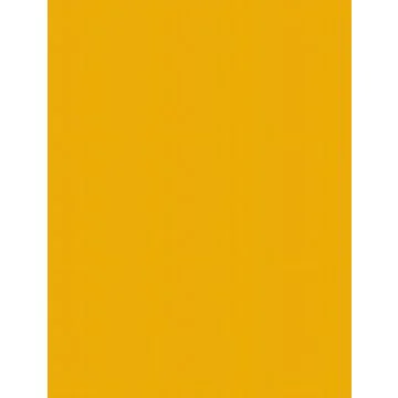 Carton de Bricolage A4 - Jaune foncé - 300 g/m² : FOLIA Lot de 50 Visuel