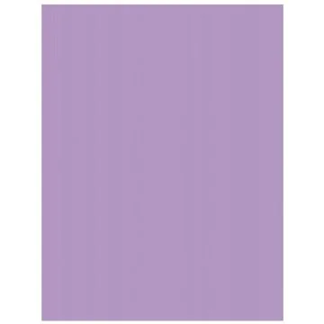 Carton de Bricolage A4 - Violet - 300 g/m² : FOLIA Lot de 50 Visuel