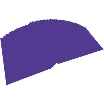 Carton de Bricolage A4 - Violet Foncé - 300 g/m² : FOLIA Lot de 50 Visuel
