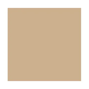 Carton de Bricolage 500 x 700 mm - Cappuccino - 300 g/m² : FOLIA Lot de 10 Visuel