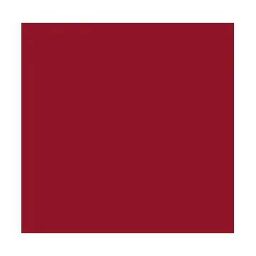 Feuilles de couleur A4 - 210 x 297 mm - Rouge tuile : FOLIA Visuel