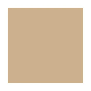 Feuilles de couleur A4 - 210 x 297 mm Cappuccino FOLIA