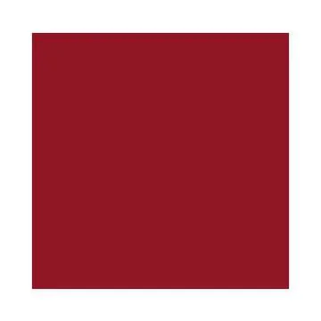 Feuilles de papier de couleur - 500 x 700 mm - Rouge tuile : FOLIA Lot de 10