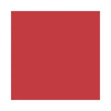 Feuilles de papier de couleur - 500 x 700 mm - Hibiscus : FOLIA Lot de 10