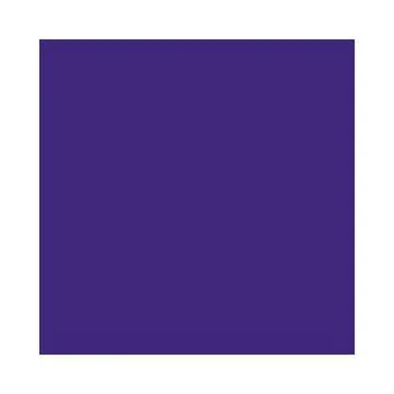 Feuilles de papier de couleur - 500 x 700 mm - Violet foncé : FOLIA Lot de 10