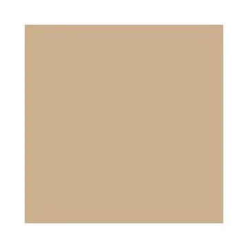 Feuilles de papier de couleur - 500 x 700 mm - Cappuccino : FOLIA Lot de 10