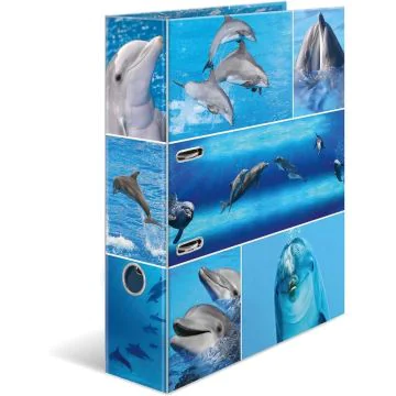 Classeur à 2 anneaux - Tendance métropole - Berlin : HERMA image