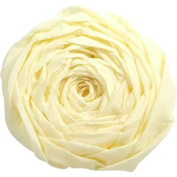 Papier Crépon - Beige : CLAIREFONTAINE Photo