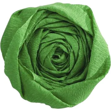 Papier Crépon - Vert pré : CLAIREFONTAINE Visuel