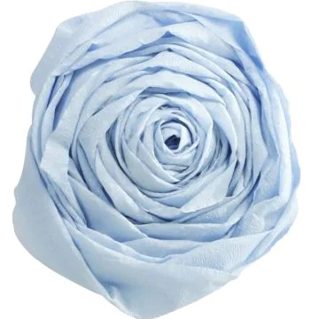 Papier Crépon - Bleu pâle : CLAIREFONTAINE Photo
