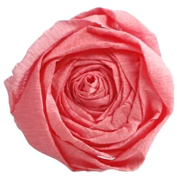 Papier Crépon - Rose moyen : CLAIREFONTAINE Photo
