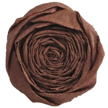 Papier Crépon - Chocolat : CLAIREFONTAINE Photo