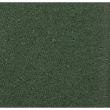 Papier de soie - Vert Bouteille - 500 x 750 mm : CLAIREFONTAINE Lot de 8 couleur
