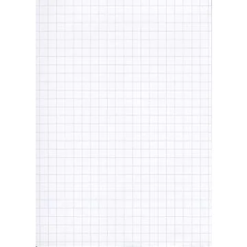 Lot de 100 Fiches Bristol quadrillées - 100 x 150 mm - Blanc ELVE B10013 modèle