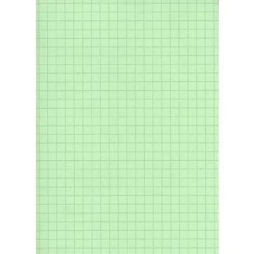 Fiches Bristol A5 - 148 x 210 mm - Vert quadrillé ELVE B14813V vert