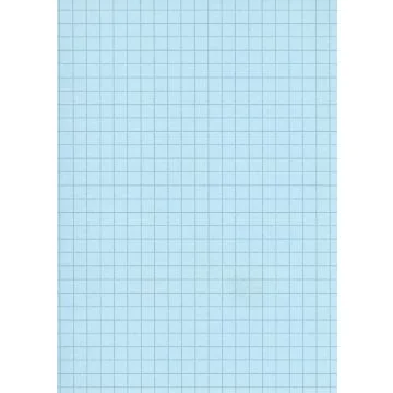 Fiches Bristol - 75 x 125 mm - Bleu quadrillé ELVE B7513B bleu