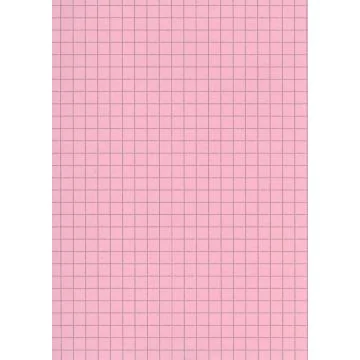 Fiches Bristol - 75 x 125 mm - Rose quadrillé ELVE B7513R rose